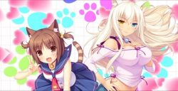 nekopara-vol-2-pc-capa